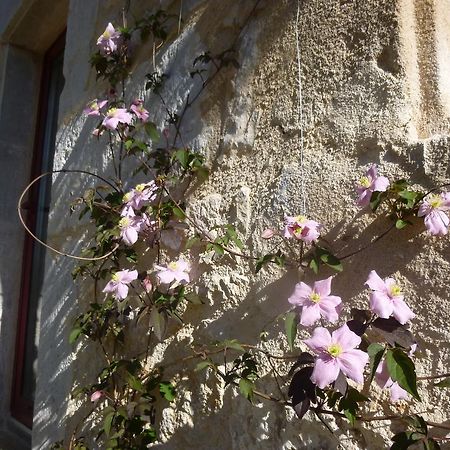 Théminettes Au Mas De Gamet Bed & Breakfast エクステリア 写真