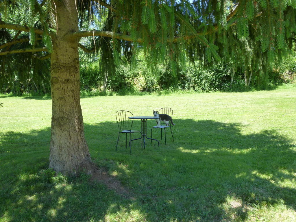Théminettes Au Mas De Gamet Bed & Breakfast エクステリア 写真